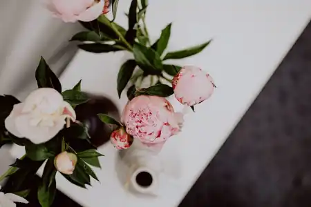 可发朋友圈的励志句子，句句舒心，温暖心灵